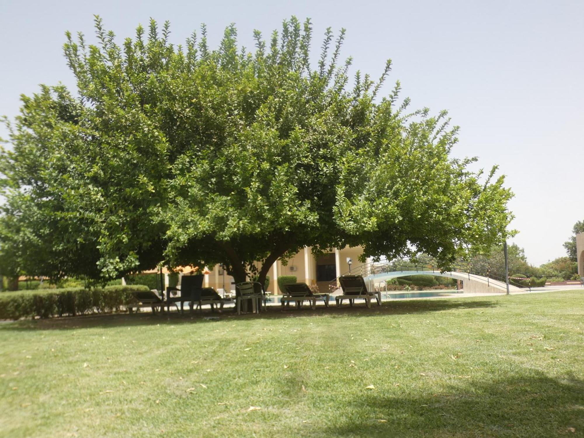 L'Amitie Hotel NʼDjamena מראה חיצוני תמונה